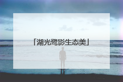 湖光鹭影生态美