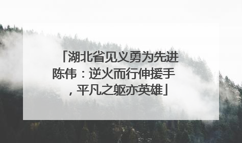 湖北省见义勇为先进陈伟：逆火而行伸援手，平凡之躯亦英雄