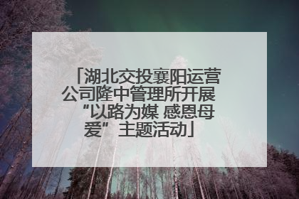 湖北交投襄阳运营公司隆中管理所开展“以路为媒 感恩母爱”主题活动