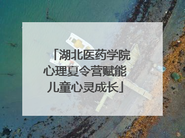湖北医药学院心理夏令营赋能儿童心灵成长