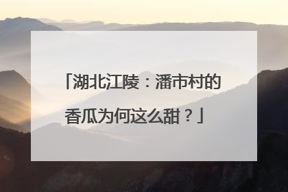 湖北江陵：潘市村的香瓜为何这么甜？