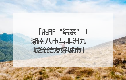 湘非“结亲”！湖南八市与非洲九城缔结友好城市