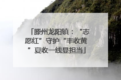滕州龙阳镇：“志愿红”守护“丰收黄”夏收一线显担当