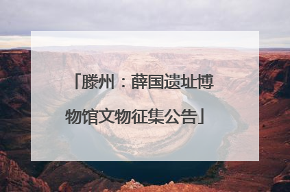 滕州：薛国遗址博物馆文物征集公告