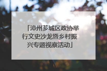 漳州芗城区政协举行文史沙龙暨乡村振兴专题视察活动
