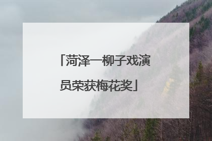 菏泽一柳子戏演员荣获梅花奖