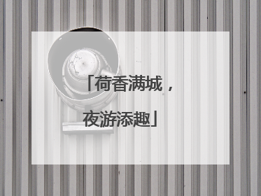 荷香满城，夜游添趣