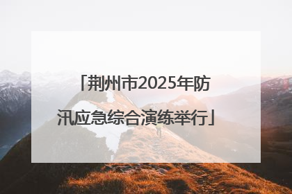 荆州市2025年防汛应急综合演练举行