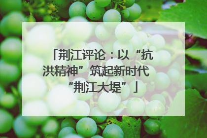 荆江评论：以“抗洪精神”筑起新时代“荆江大堤”