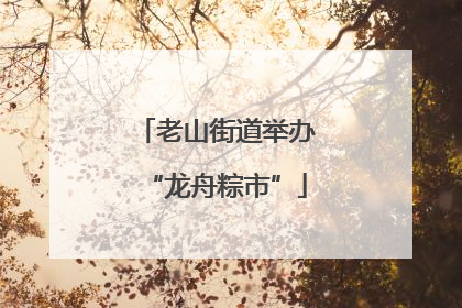 老山街道举办“龙舟粽市”