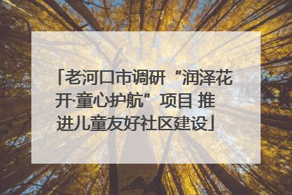 老河口市调研“润泽花开·童心护航”项目 推进儿童友好社区建设