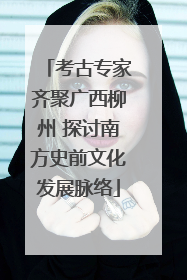 考古专家齐聚广西柳州 探讨南方史前文化发展脉络