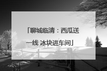 聊城临清：西瓜送一线 冰块进车间