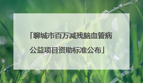 聊城市百万减残脑血管病公益项目资助标准公布