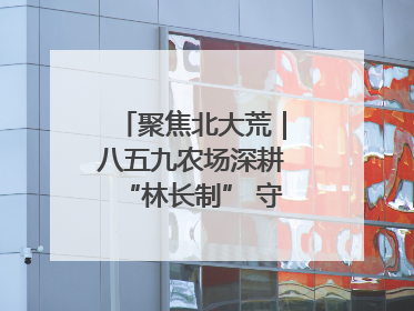 聚焦北大荒｜八五九农场深耕“林长制” 守护“生态绿”