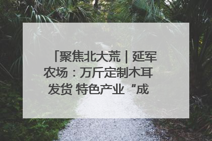 聚焦北大荒｜延军农场：万斤定制木耳发货 特色产业“成绩单”亮眼