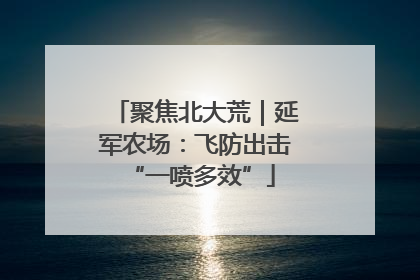 聚焦北大荒｜延军农场：飞防出击 “一喷多效”