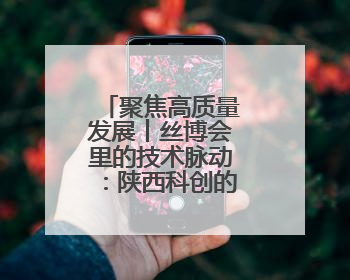聚焦高质量发展丨丝博会里的技术脉动：陕西科创的突破与想象