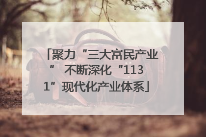 聚力“三大富民产业” 不断深化“1131”现代化产业体系