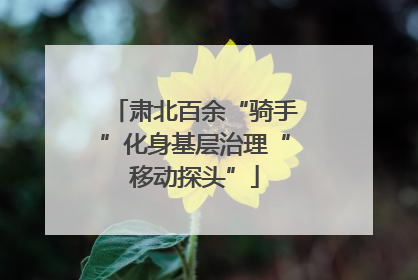 肃北百余“骑手”化身基层治理“移动探头”