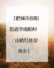 肥城市仪阳街道李南阳村：山楂红处是故乡