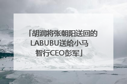胡润将张朝阳送回的LABUBU送给小马智行CEO彭军