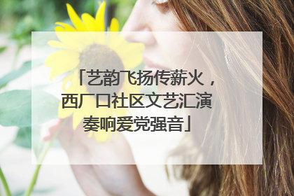 艺韵飞扬传薪火，西厂口社区文艺汇演奏响爱党强音