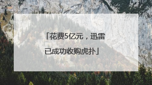 花费5亿元，迅雷已成功收购虎扑