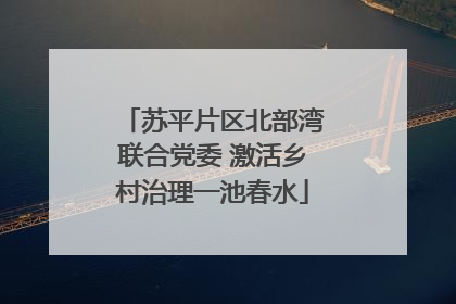 苏平片区北部湾联合党委 激活乡村治理一池春水