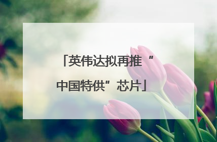 英伟达拟再推“中国特供”芯片