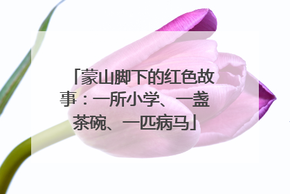 蒙山脚下的红色故事：一所小学、一盏茶碗、一匹病马