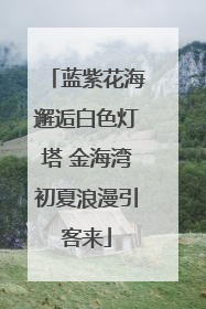 蓝紫花海邂逅白色灯塔 金海湾初夏浪漫引客来