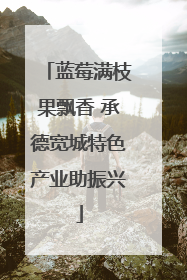 蓝莓满枝果飘香 承德宽城特色产业助振兴