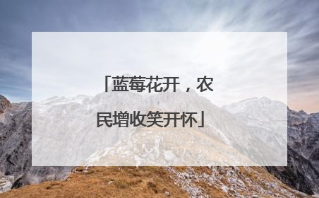 蓝莓花开，农民增收笑开怀
