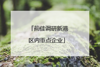蔺佳调研新港区内重点企业