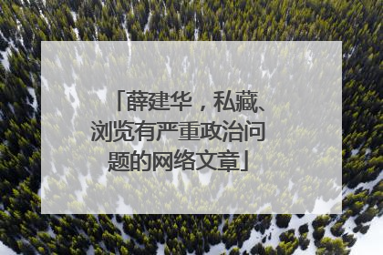 薛建华，私藏、浏览有严重政治问题的网络文章
