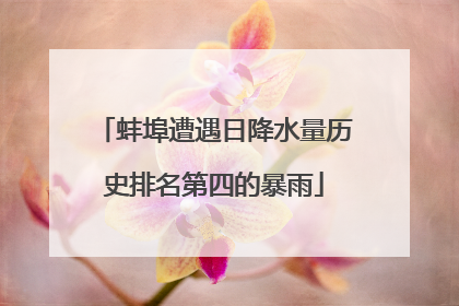 蚌埠遭遇日降水量历史排名第四的暴雨