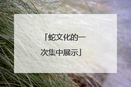 蛇文化的一次集中展示