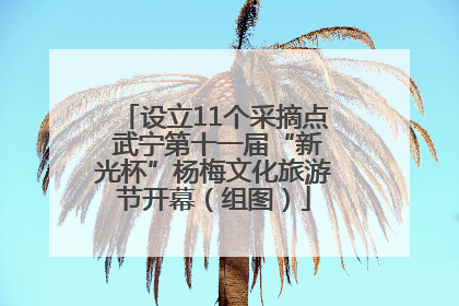 设立11个采摘点 武宁第十一届“新光杯”杨梅文化旅游节开幕（组图）