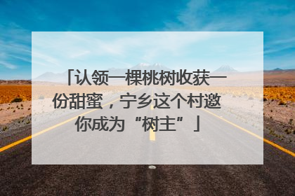 认领一棵桃树收获一份甜蜜，宁乡这个村邀你成为“树主”
