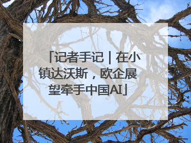 记者手记｜在小镇达沃斯，欧企展望牵手中国AI
