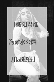 衡阳玛雅海滩水公园开园迎客