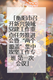衡阳市召开新兴领域党建工作重点任务推进会暨“两个覆盖”集中攻坚工作专班 第一次会议
