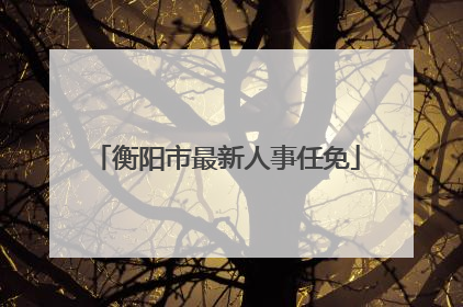 衡阳市最新人事任免