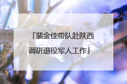 裴金佳带队赴陕西调研退役军人工作