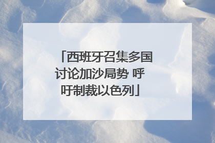 西班牙召集多国讨论加沙局势 呼吁制裁以色列
