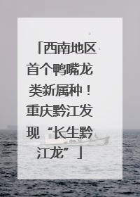 西南地区首个鸭嘴龙类新属种！重庆黔江发现“长生黔江龙”