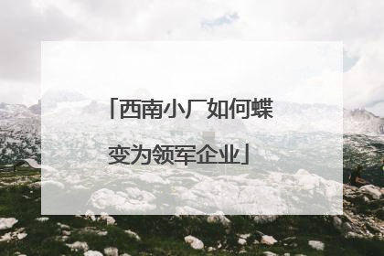 西南小厂如何蝶变为领军企业
