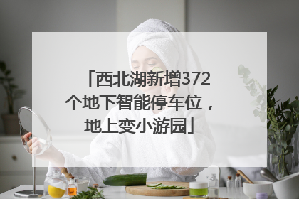 西北湖新增372个地下智能停车位，地上变小游园