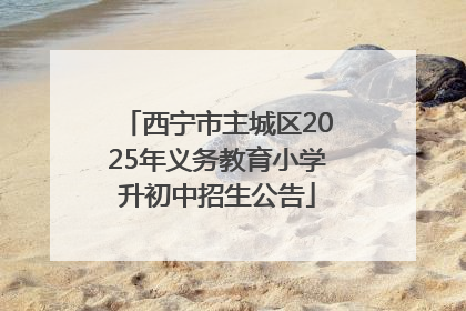 西宁市主城区2025年义务教育小学升初中招生公告